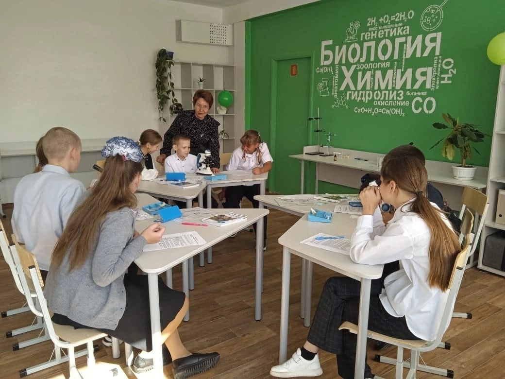 Точка роста: открытый урок.